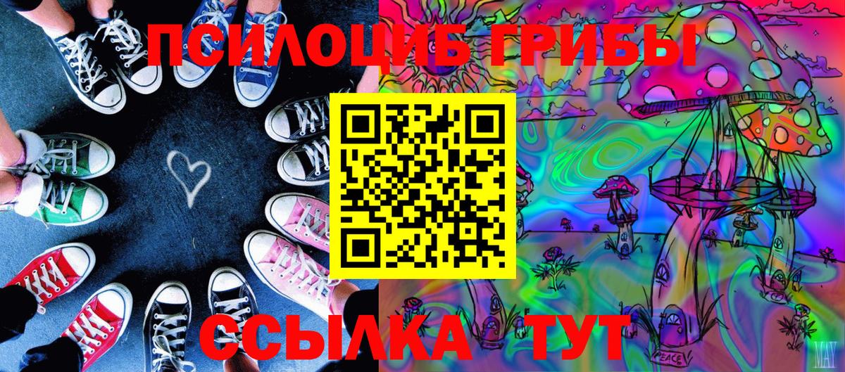 Псилоцибиновые грибы Cubensis  Вход с VPN  Красноперекопск 